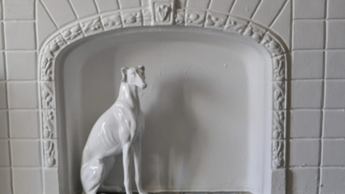 Egg chair hotsell for dogs homegoods