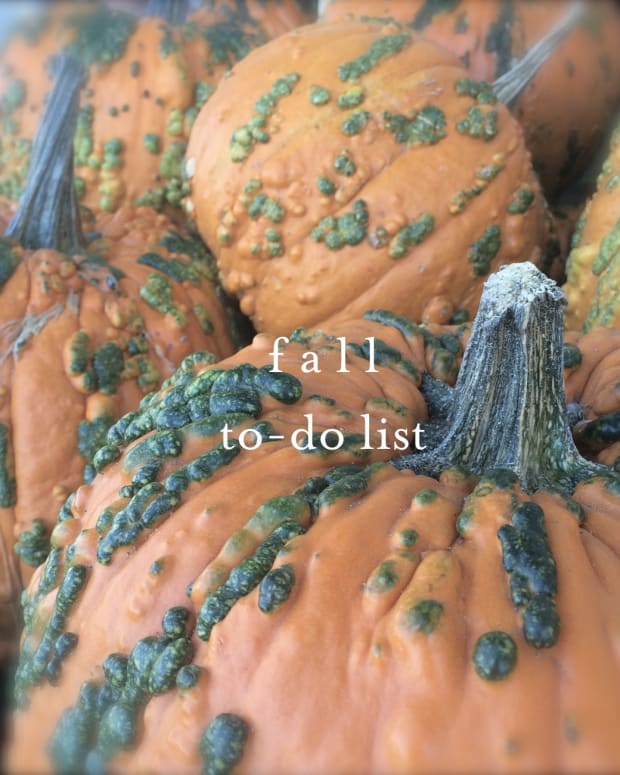 fall to do list.jpg