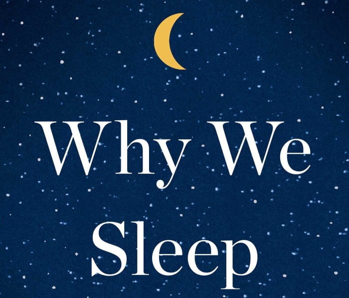 Why we sleep. Why we Sleep book. Walker, Matthew "why we Sleep". Why we Sleep Matthew Walker illustrations.