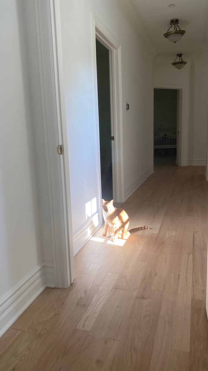 Rocco trouvant sa lumière.