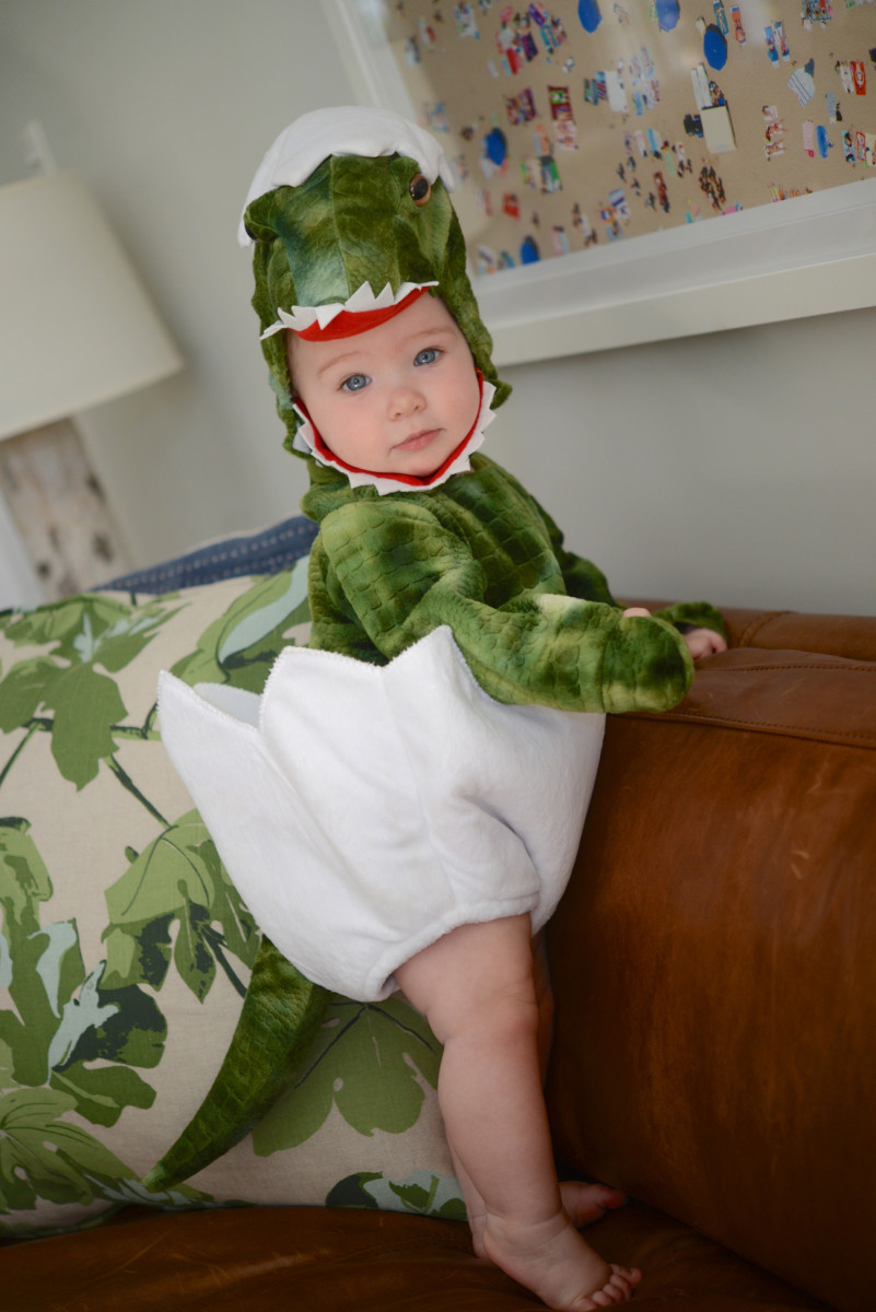 Halloween Baby T-Rex Hatchling Costume - Jurassic World