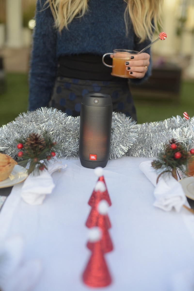 JBL Pulse 2 Speaker that sounds great and also lights up to create a pretty ambiance.