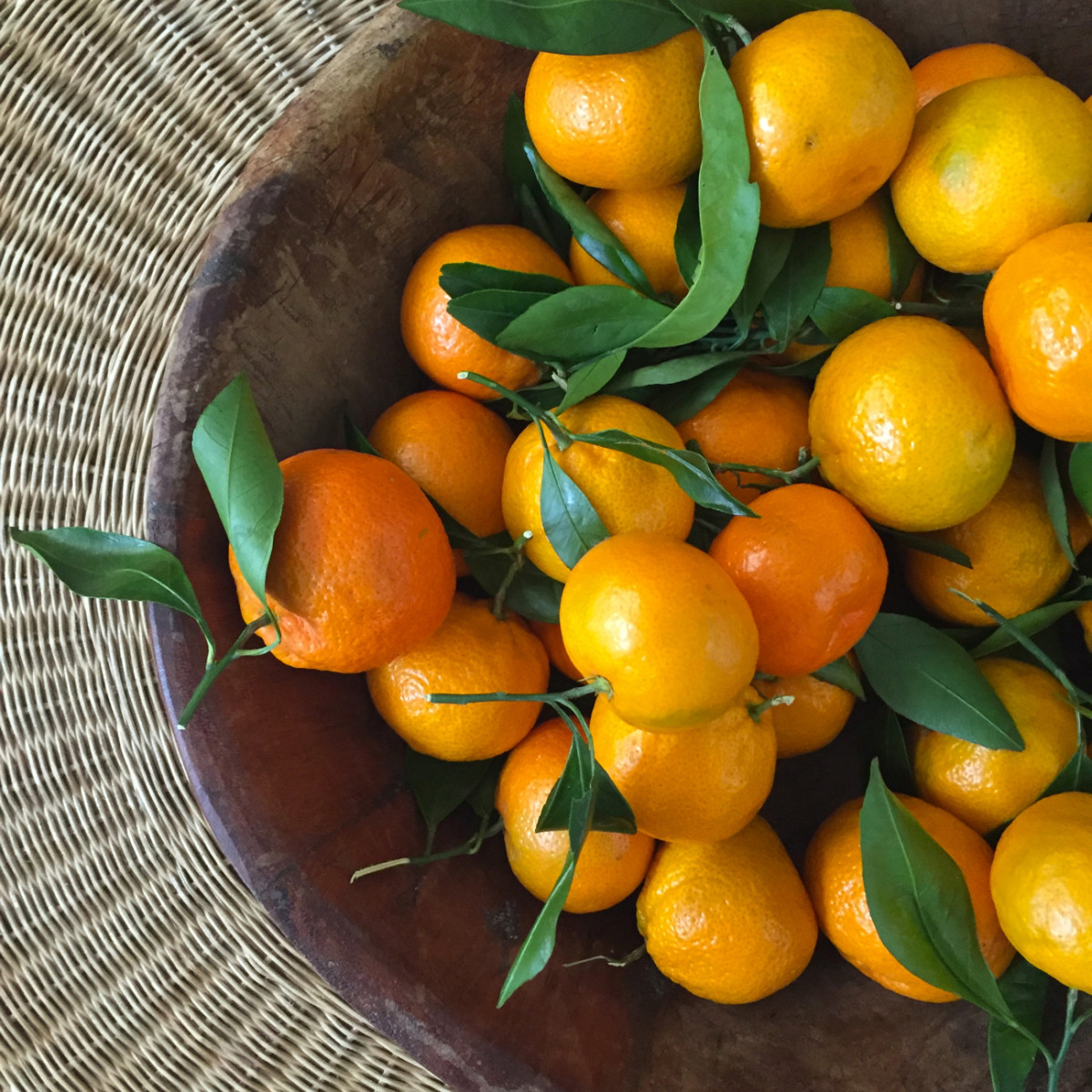 {Clementines as a colorful/edible centerpiece on our coffee table}