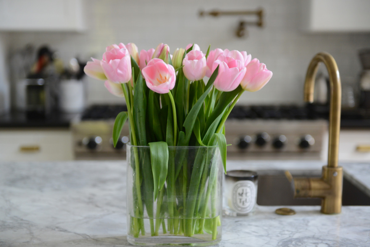 {Pink tulips the cats desperately want to eat}