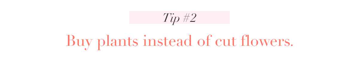 CaC_Decorating_Tip2.png