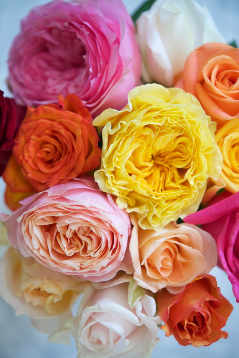 {The brightest bouquet of roses to brighten up our kitchen counter)