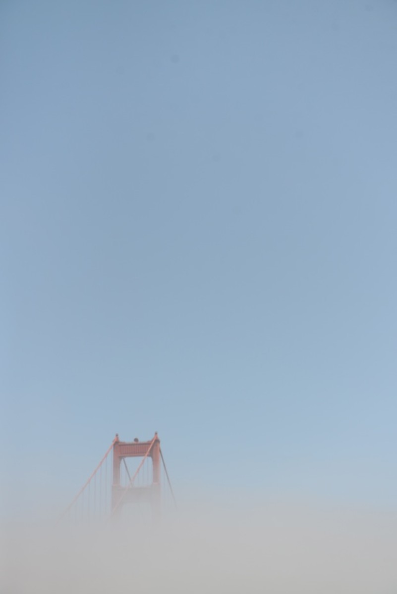 golden-gate-fog
