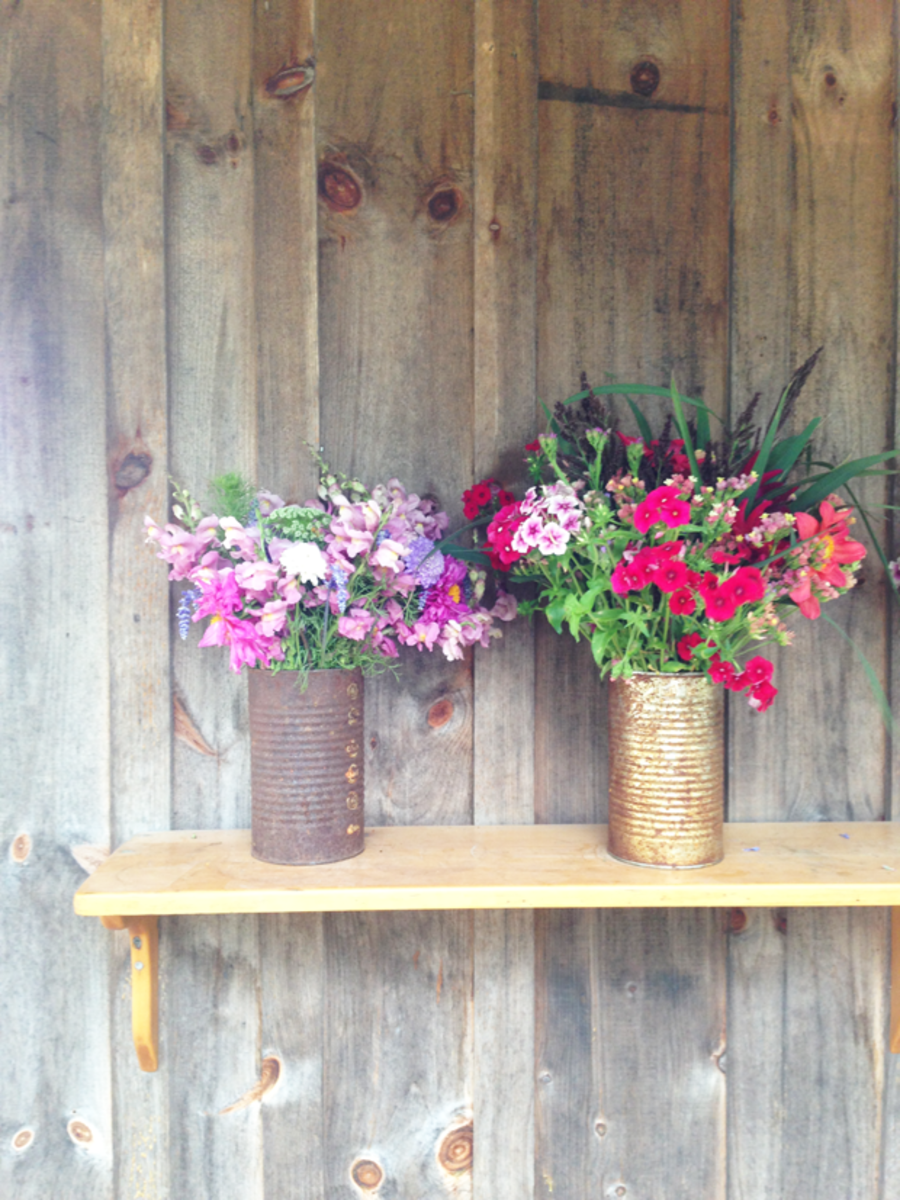  {Wildflowers in rusty cans}