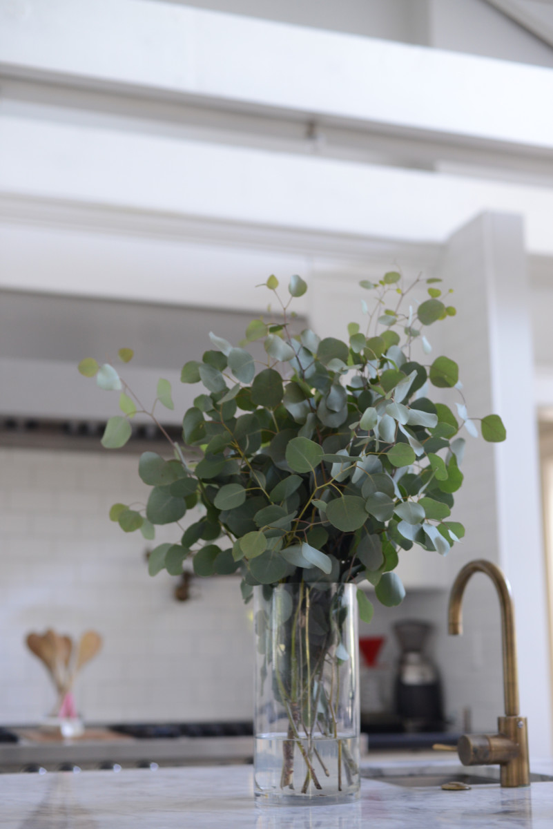 {The best-smelling bouquet of eucalyptus for the kitchen}
