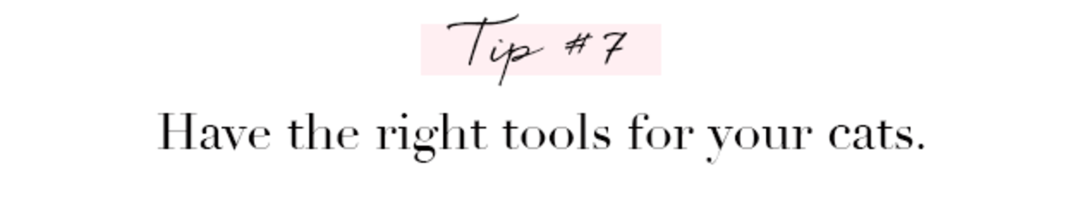 7.have the right tools.png
