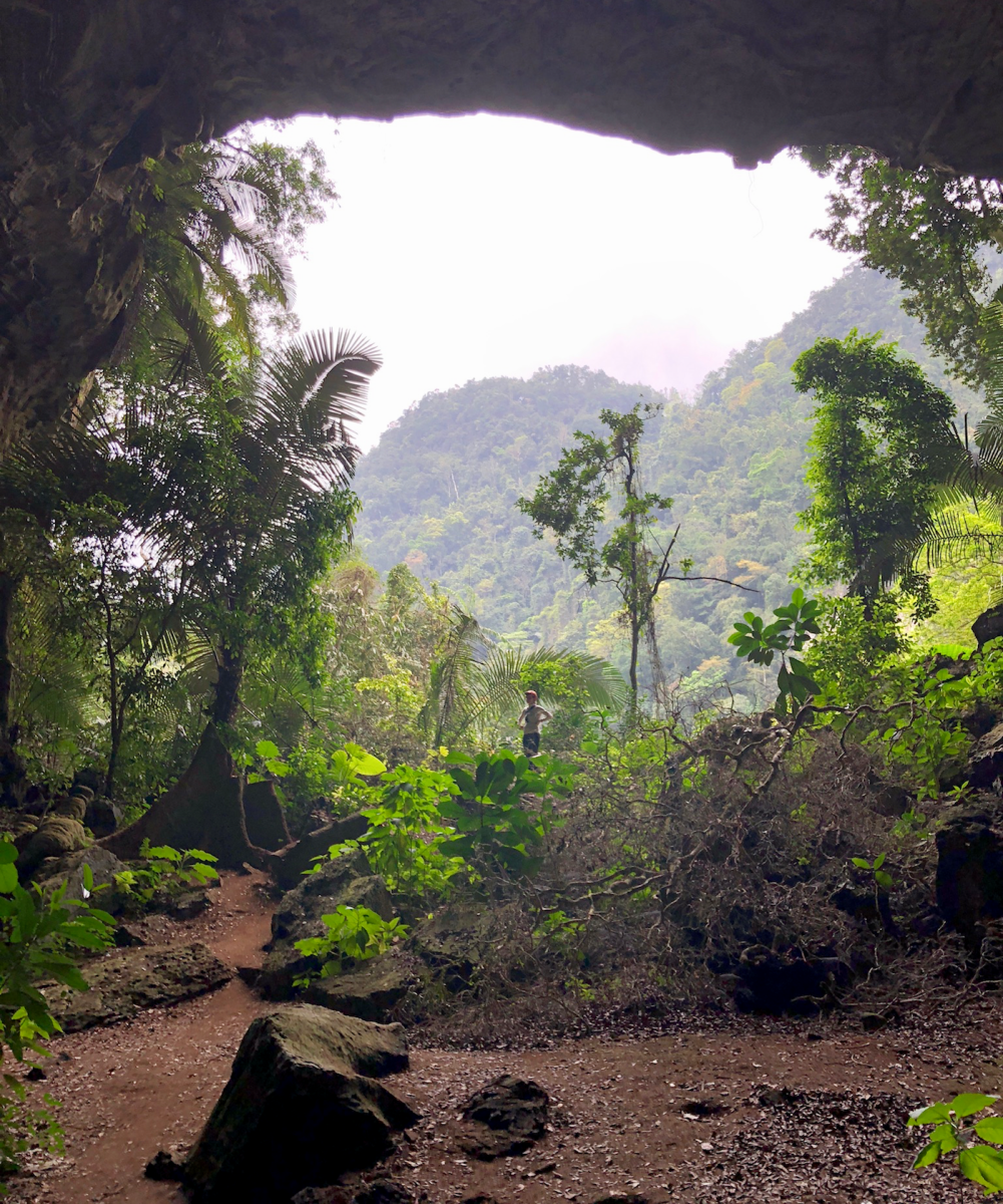 The other end of the cave which, by the way, was filled with Fiddle Leaf Fig Trees. #designgoals 