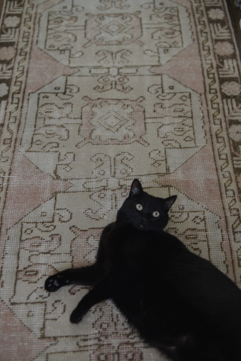 {Luna checking out our new kitchen runner}